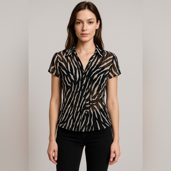 Harve Benard Tops - Harvé Bernard Zebra Print Sheer Pleated Button Down Blouse Size 8 Y2K